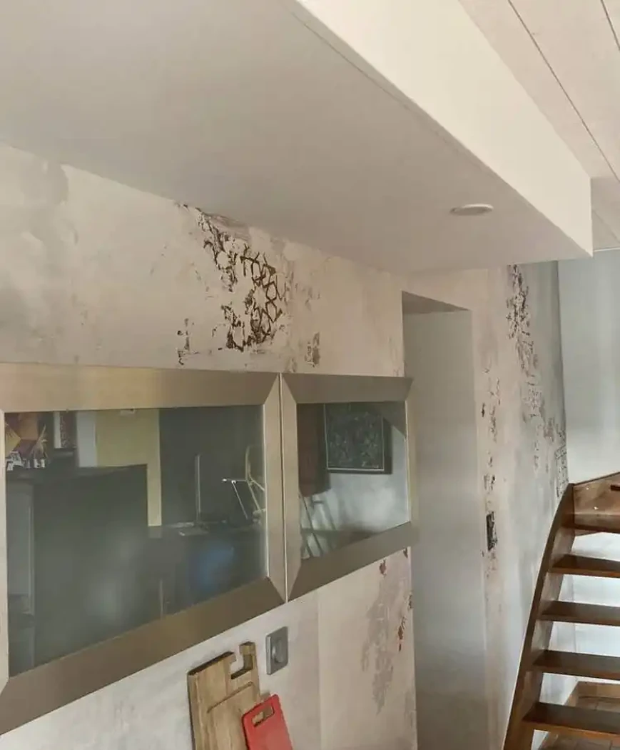 Cuisine et cage d’escalier en enduit à la chaux avec création de décor 